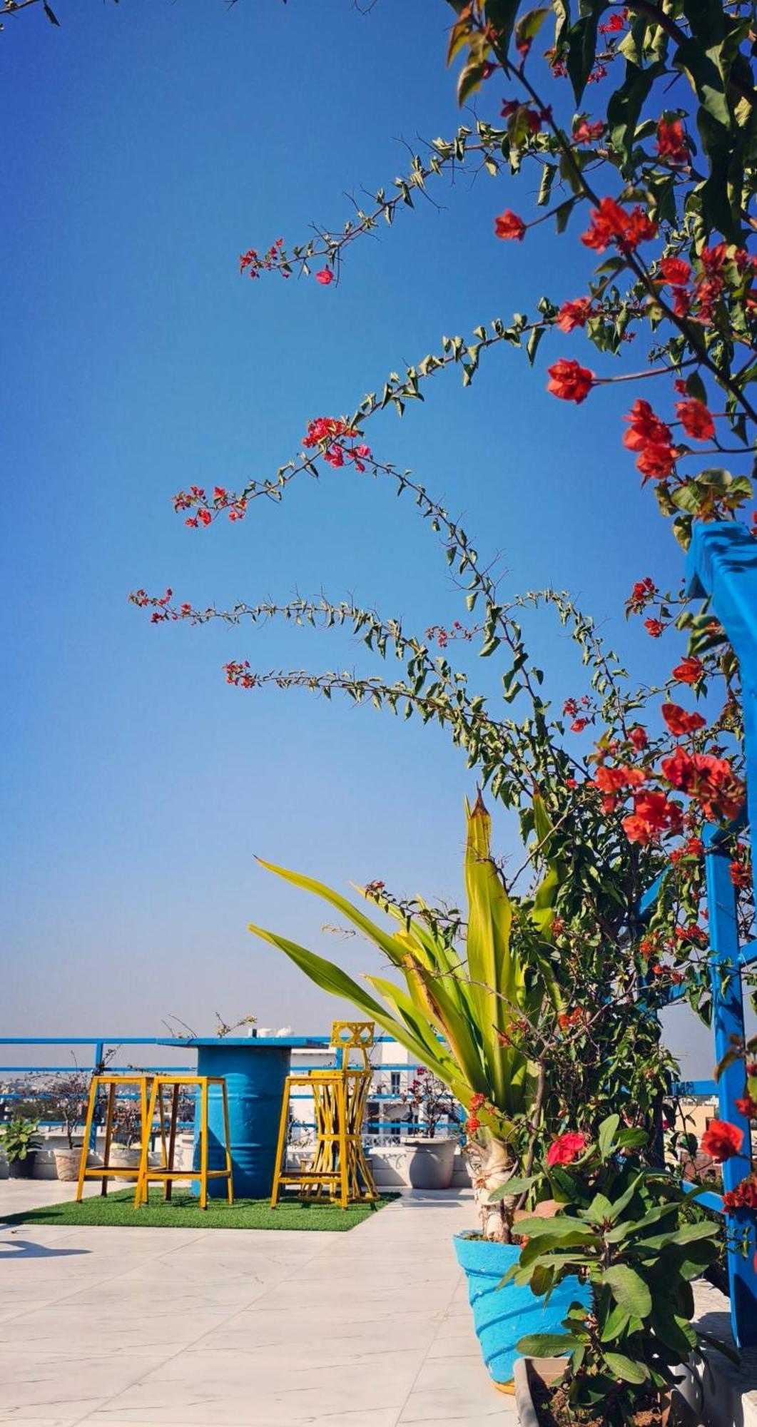 The Coral House Homestay By The Taj آغْرا المظهر الخارجي الصورة
